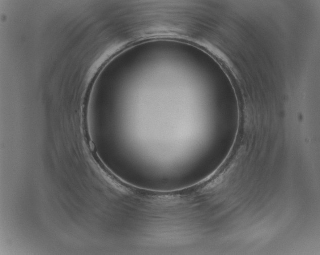 X0000073871333200608170958