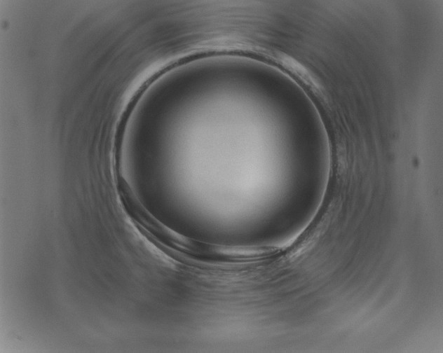 X0000073871334200608170958