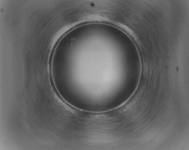 X0000073871335200608170958