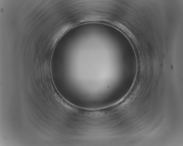 X0000073871337200608170958