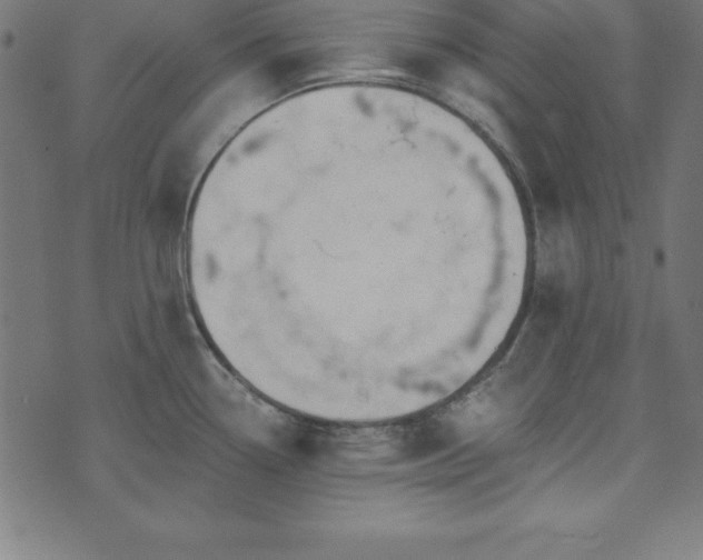 X0000073871338200608170958