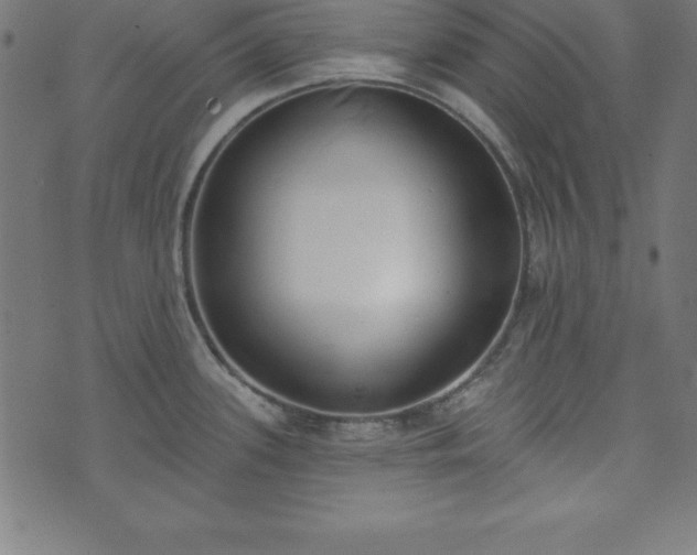 X0000073871339200608170958