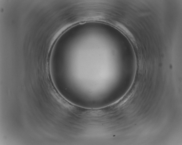 X0000073871340200608170958