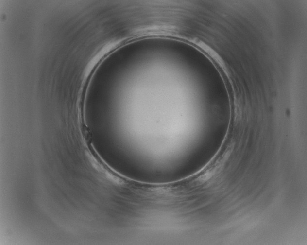 X0000073871341200608170958