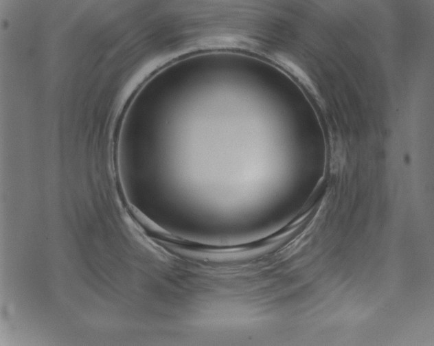 X0000073871342200608170958