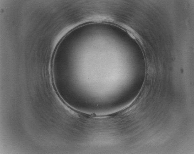 X0000073871343200608170958