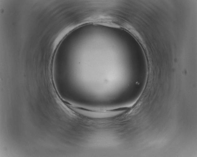 X0000073871344200608170958