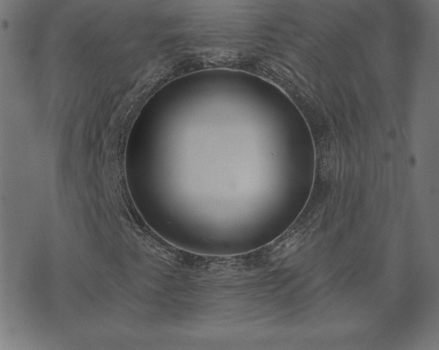 X0000073871345200608170957