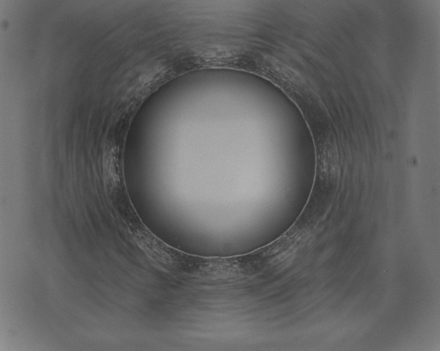 X0000073871346200608170957