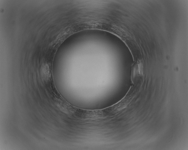 X0000073871347200608170957