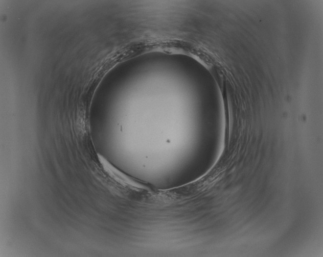 X0000073871348200608170957