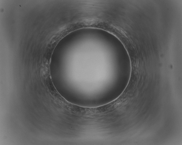 X0000073871349200608170957