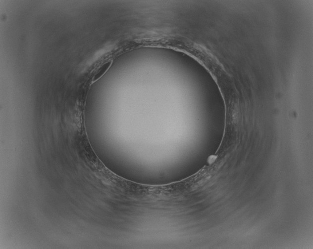 X0000073871350200608170957