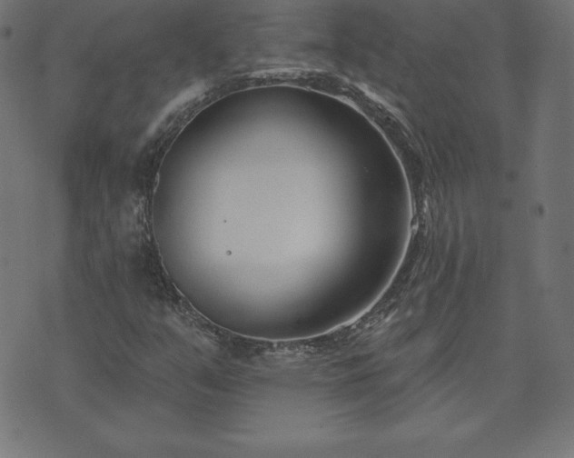 X0000073871351200608170957