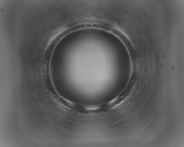 X0000073871352200608170957