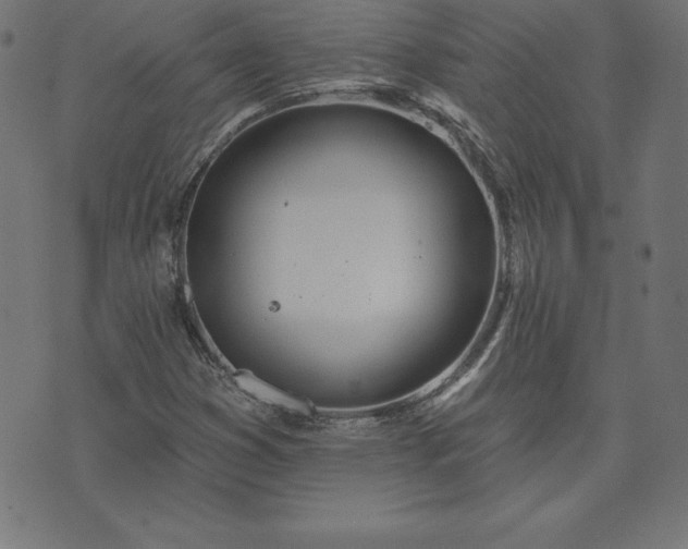 X0000073871353200608170957