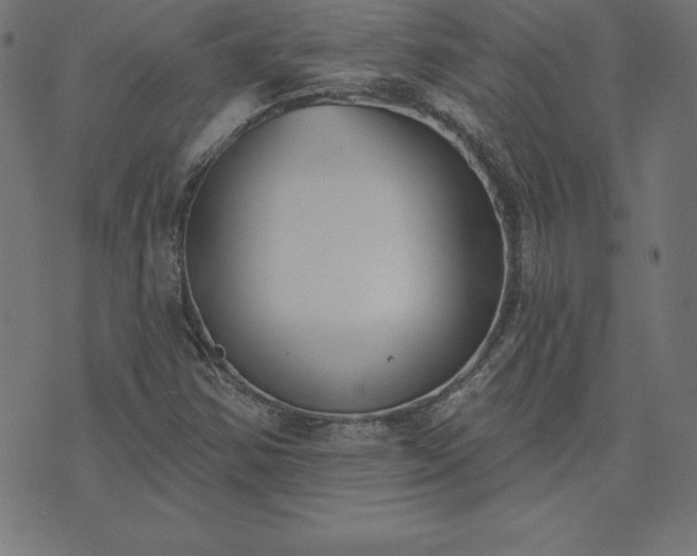 X0000073871354200608170957