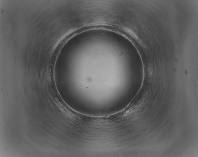 X0000073871356200608170957