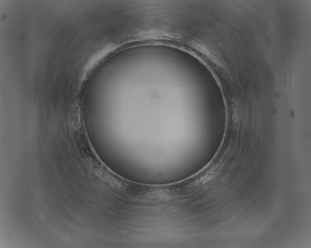 X0000073871358200608170957