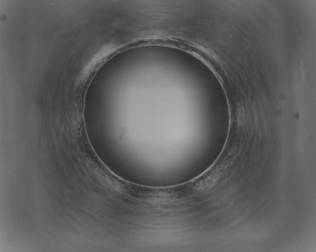 X0000073871359200608170957