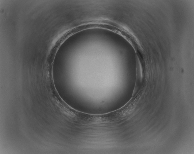 X0000073871360200608170957