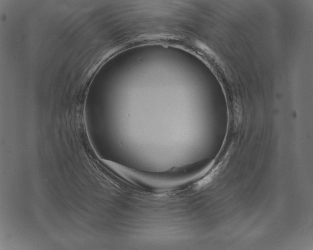 X0000073871361200608170957