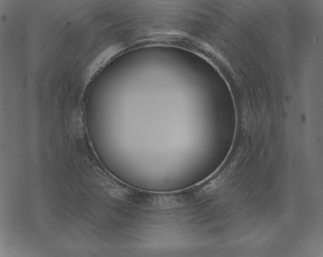 X0000073871362200608170957