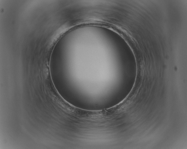 X0000073871363200608170957