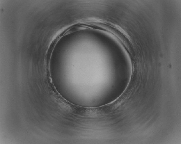 X0000073871364200608170957