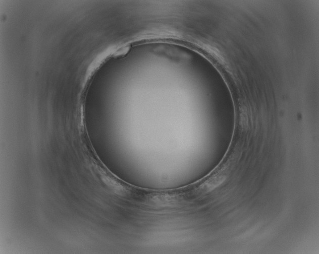 X0000073871366200608170957