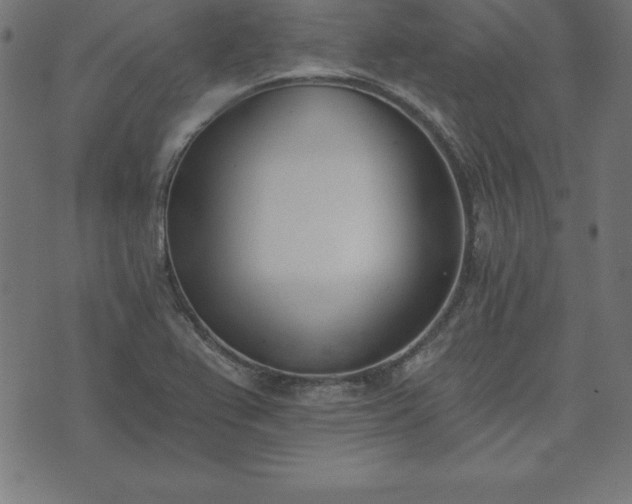 X0000073871367200608170957