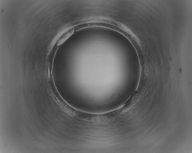 X0000073871368200608170957