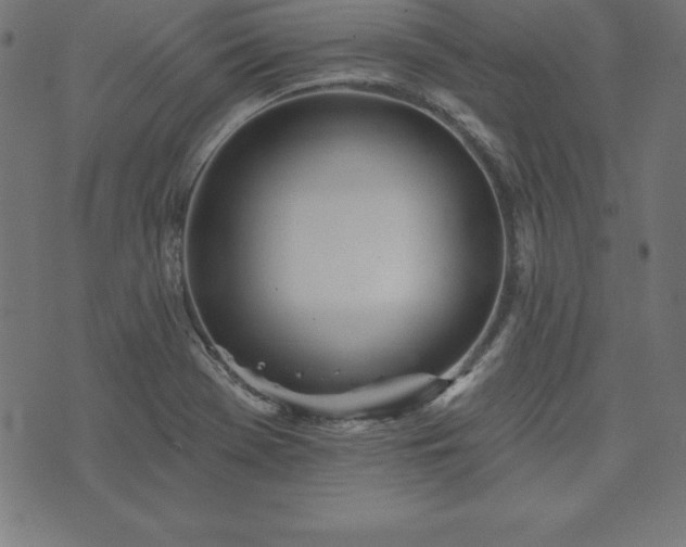 X0000073871369200608170957