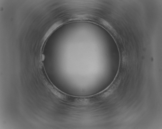 X0000073871370200608170957