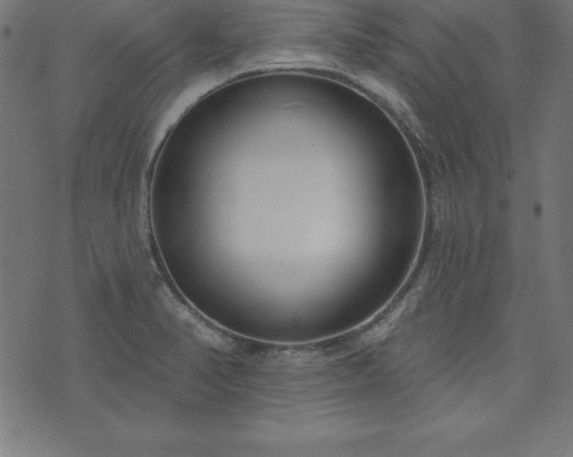 X0000073871374200608170957