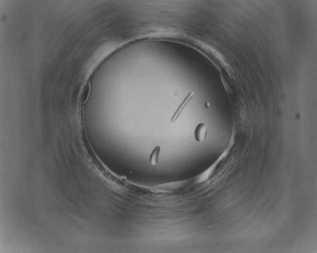 X0000073871375200608170957