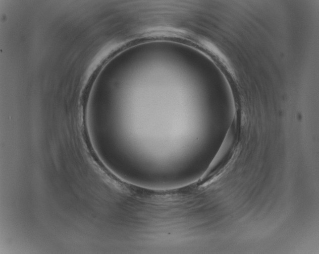 X0000073871376200608170956