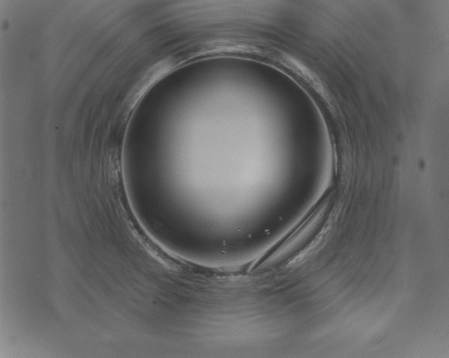 X0000073871377200608170956