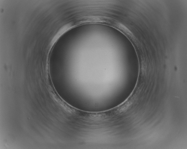 X0000073871378200608170956