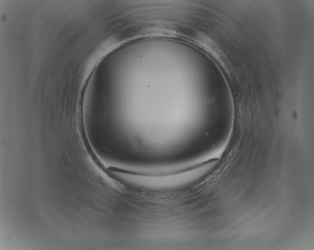 X0000073871379200608170956