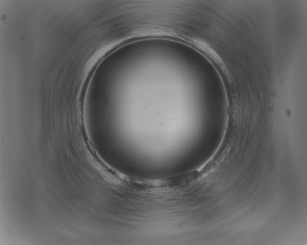 X0000073871380200608170956