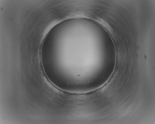 X0000073871382200608170956