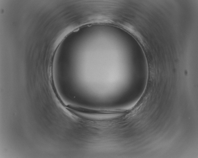 X0000073871383200608170956