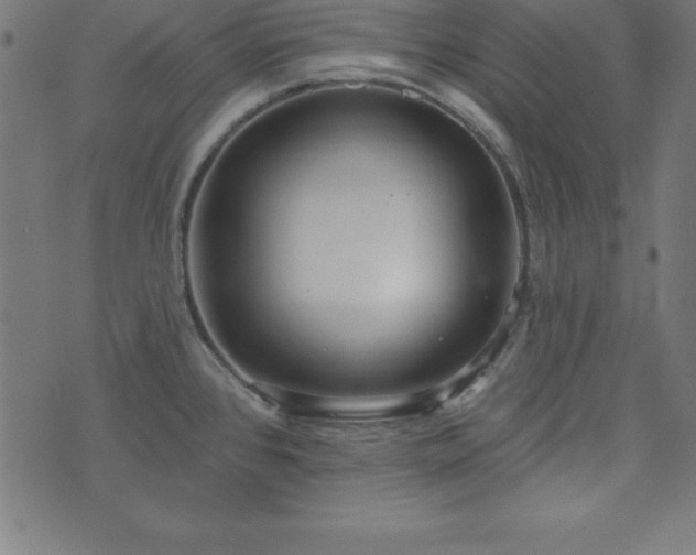 X0000073871384200608170956