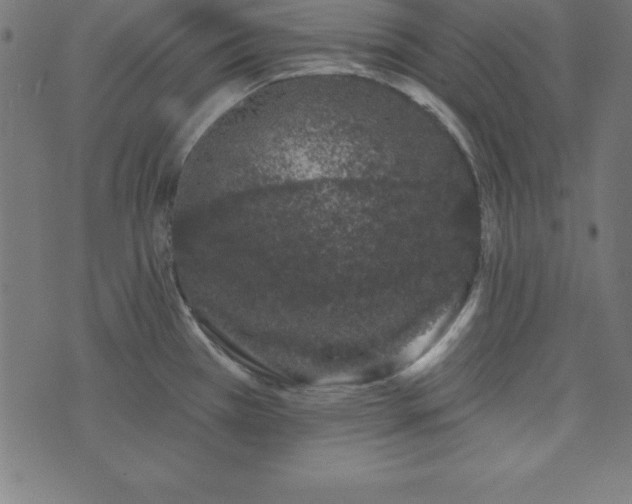 X0000073871385200608170956