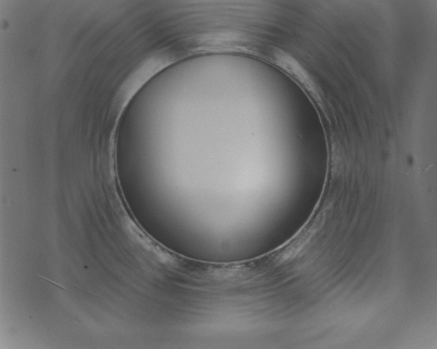 X0000073871386200608170956