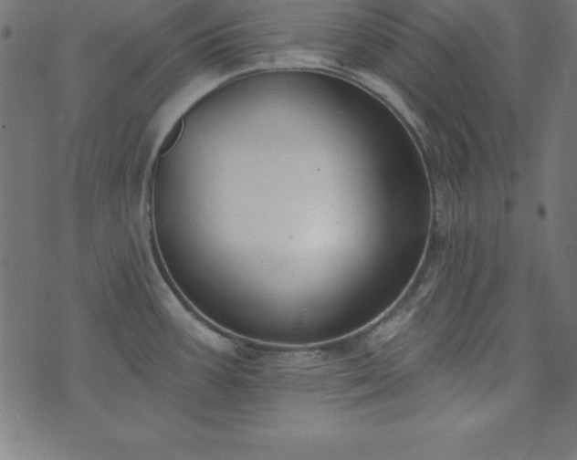 X0000073871387200608170956