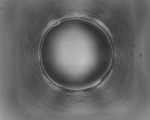 X0000073871388200608170956