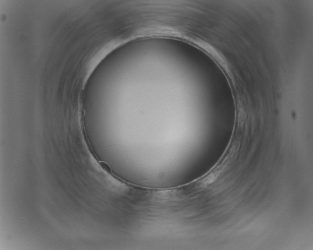 X0000073871390200608170956