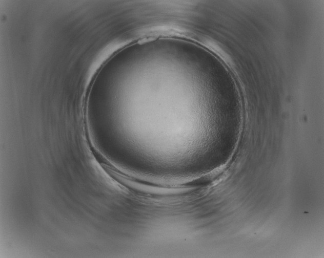 X0000073871392200608170956